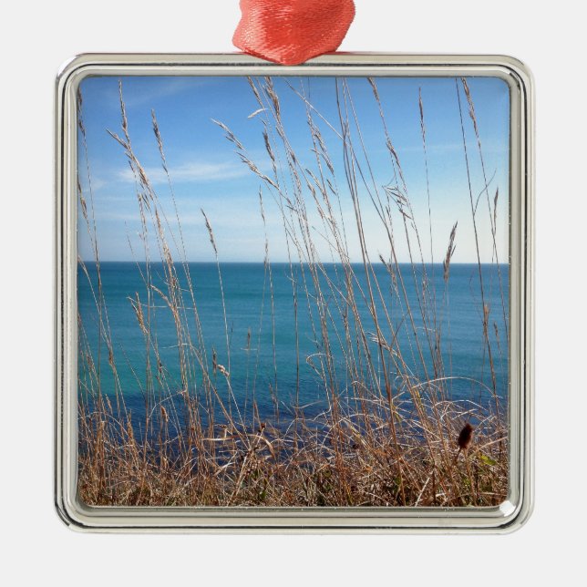 Das schöne Gras und das Meer Silbernes Ornament (Vorne)
