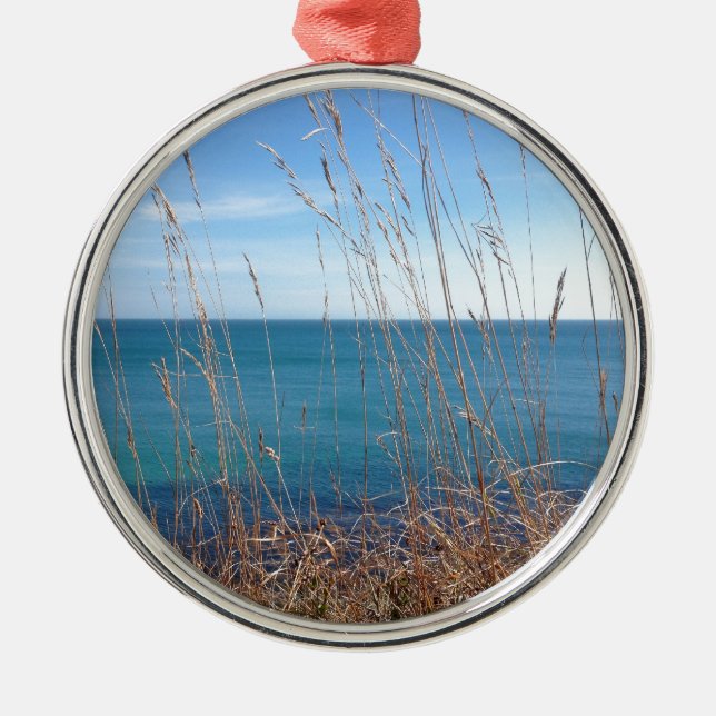 Das schöne Gras und das Meer Silbernes Ornament (Vorne)