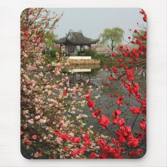 Das schöne Mousepad der Natur (Vorne)