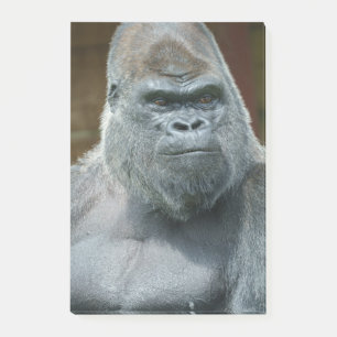 Das schöne Silverback Post-it Klebezettel