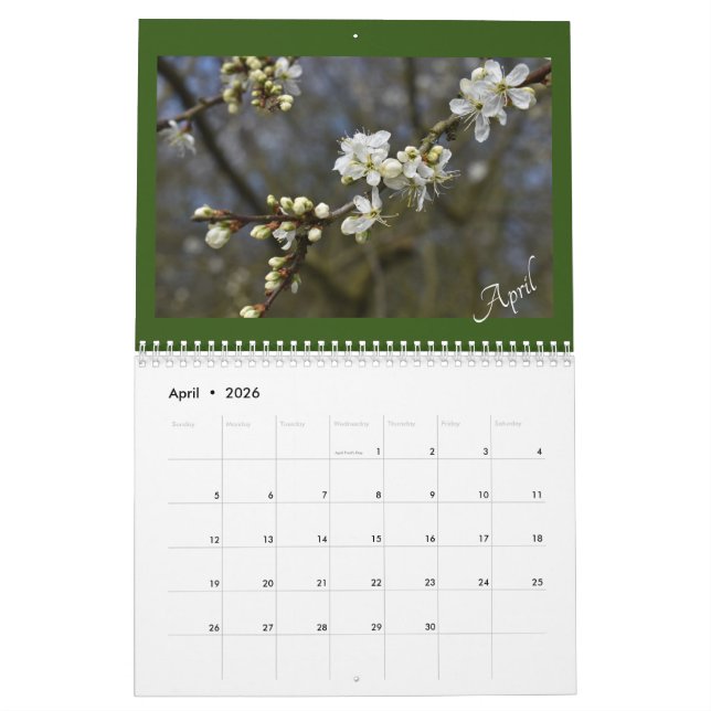 Das Schönheitssalander der Natur erfassen Kalender (Apr 2026)