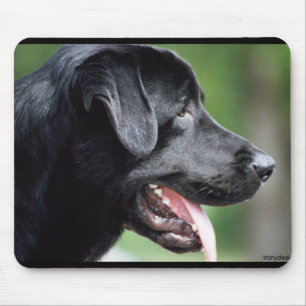 Das schwarze Labrador Mousepad