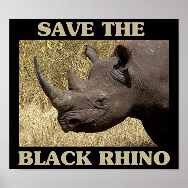 Das Schwarze Rhino gerettet Poster (Vorne)