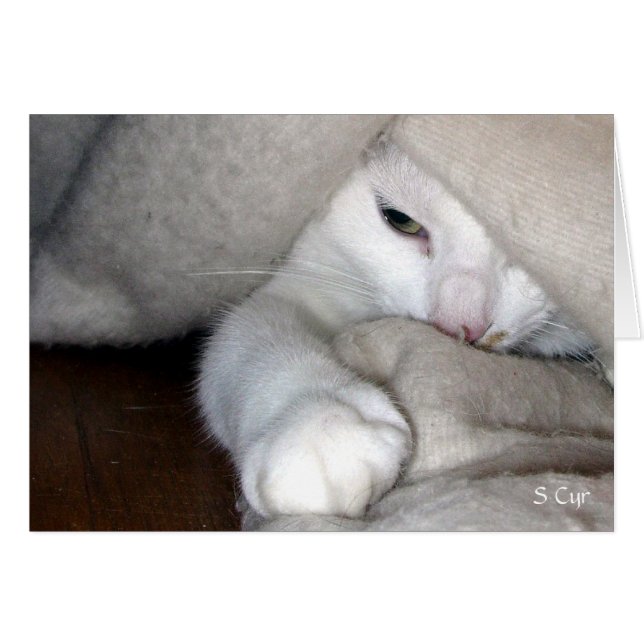 Das schwarze Spiel, S Cyr (Vorderseite (Horizontal))