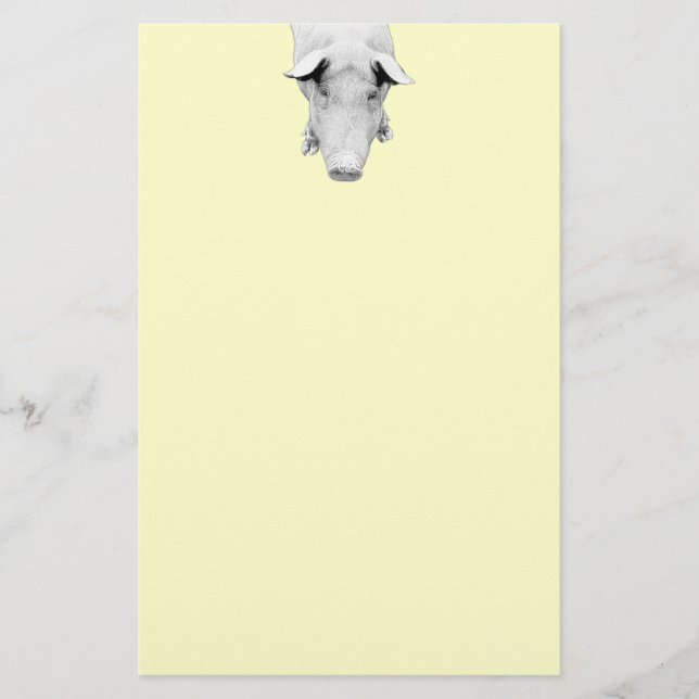 Das Schwein in Schwarzweiss Briefpapier (Vorderseite)