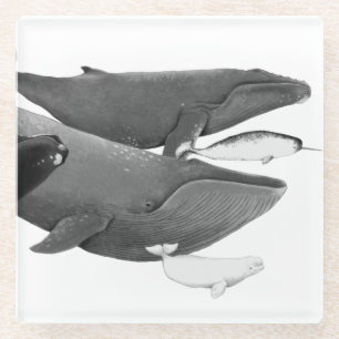 Das Schwimmen der Wale Illustration Art Whale Whit Glasuntersetzer