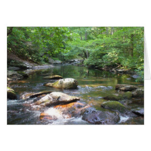 Das Schwimmen-Loch 032