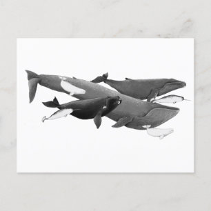 Das Schwimmen von Walen illustriert Kunst Postkarte