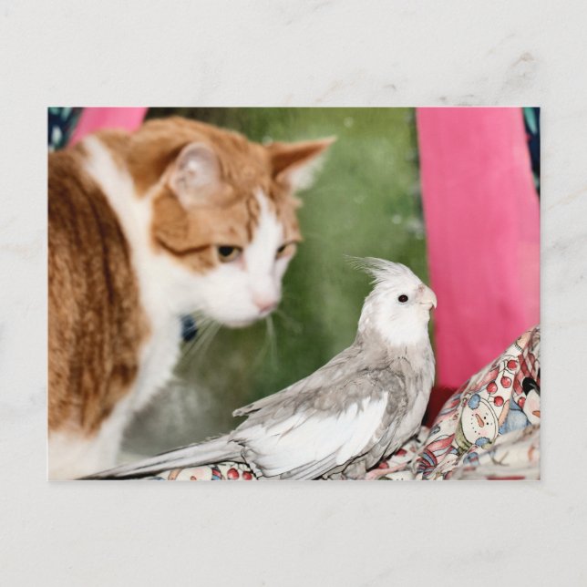 Das seltsame Paar Postkarte (Vorderseite)