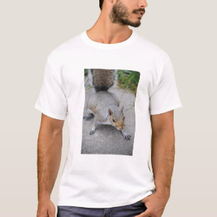 Das Shirt der Eichhörnchen-Männer