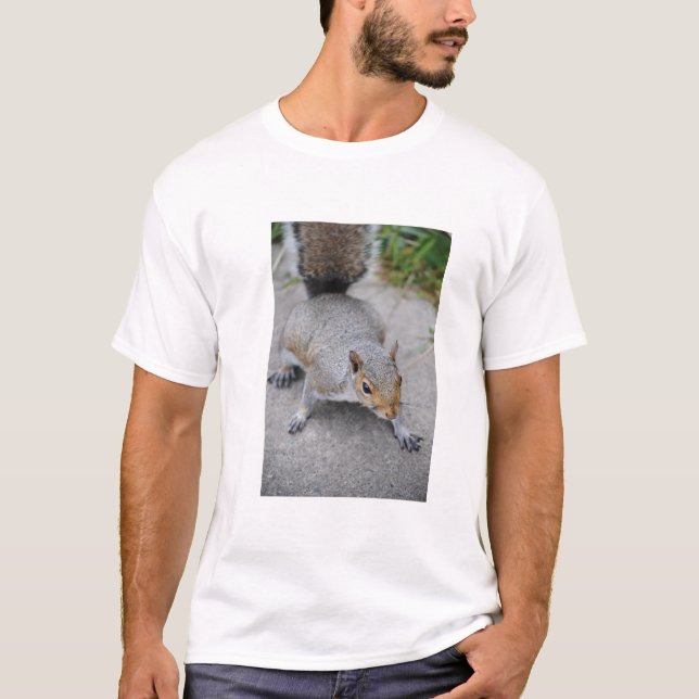 Das Shirt der Eichhörnchen-Männer (Vorderseite)
