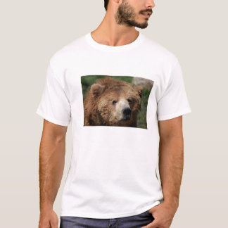 Das Shirt der Kodiak-Brown-Bärn-Männer