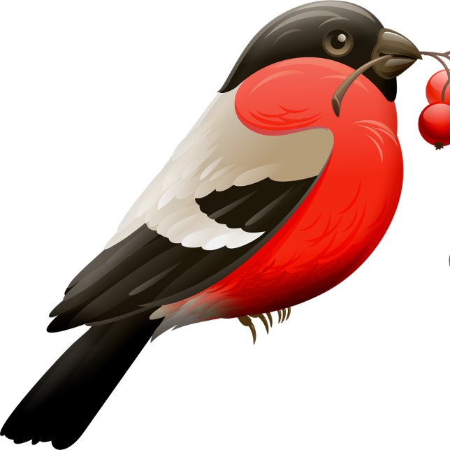 Das Shirt im Sommer ist rot und schwarz gedruckt (Von Creator hochgeladen)