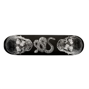 Das Skateboard des Schädels u. Klapperschlangen-