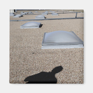 Das Solartagesbeleuchtungssystem Magnet