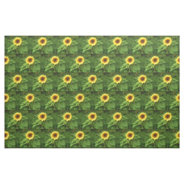 DAS SONNENBLUME-Gewebe Stoff (Fat Quarter (45,7 x 55,9 cm))