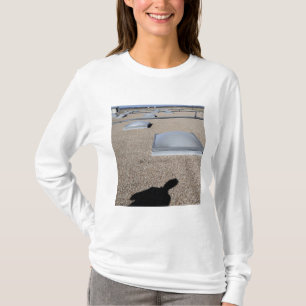 Das Sonnentag-Beleuchtungssystem T-Shirt