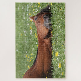 Das sonnige Pferd lächelt im Grasfeld Puzzle