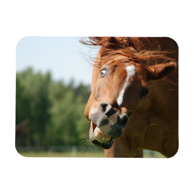 Das sonnige Pferdeschlitten mit den gekrönten Lipp Magnet (Horizontal)