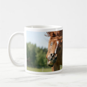 Das sonnige Pferdeschlitten mit den gekrönten Lipp Tasse