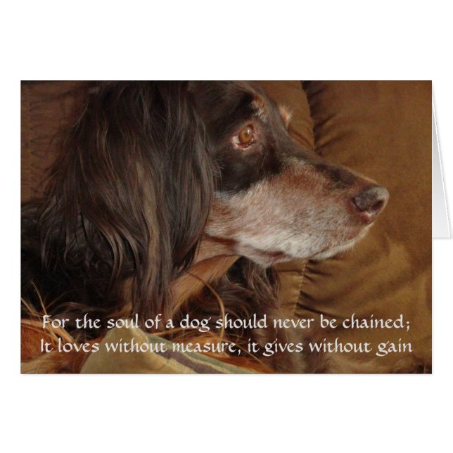 Das Soul eines Hundes - "Für Milly" (Vorderseite (Horizontal))