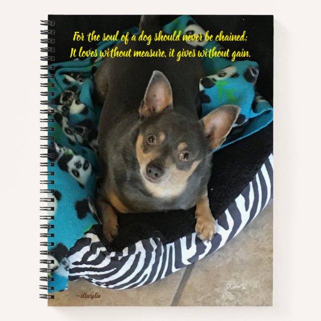 Das Soul eines Hundes Notizbuch (Vorderseite)