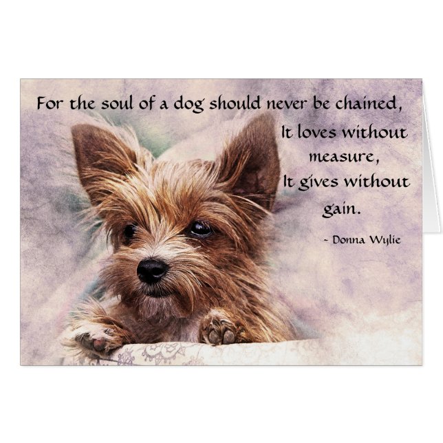 Das Soul eines Hundes - Yorkie (Vorderseite (Horizontal))