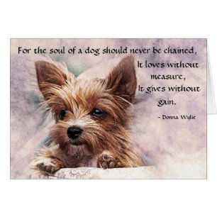 Das Soul eines Hundes - Yorkie