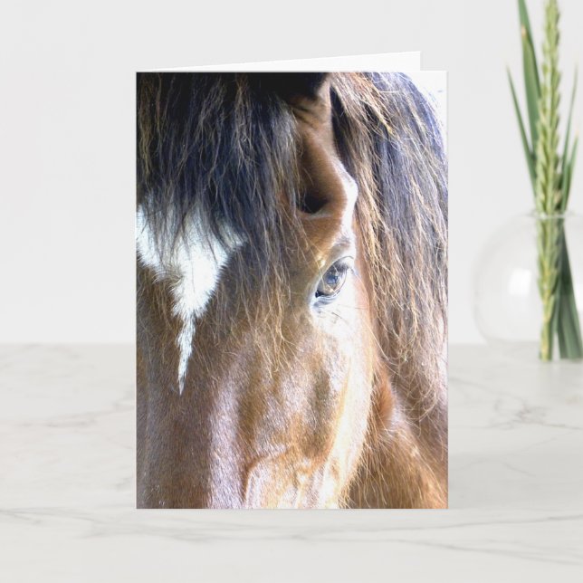 Das Soul l Horse Gesicht Nah-up Fotografie Karte (Vorderseite)