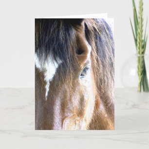 Das Soul l Horse Gesicht Nah-up Fotografie Karte