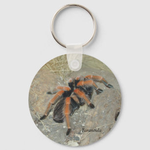 Das Spinne pix, Tarantula Schlüsselanhänger