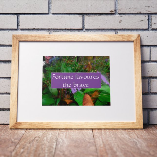 Das sprichwörtliche Glück begünstigt das tapfere P Poster (Von Creator hochgeladen)