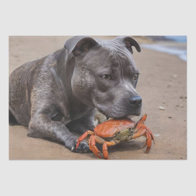 Das Staffy ist ein Freund mit Strandkrabbe, Seidenpapier (Vorderseite)
