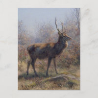 Das Stag von Rosa Bonheur