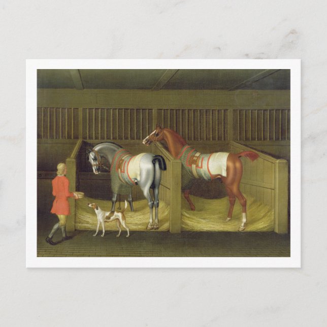 Das Ställe und zwei berühmte laufende Postkarte (Vorderseite)