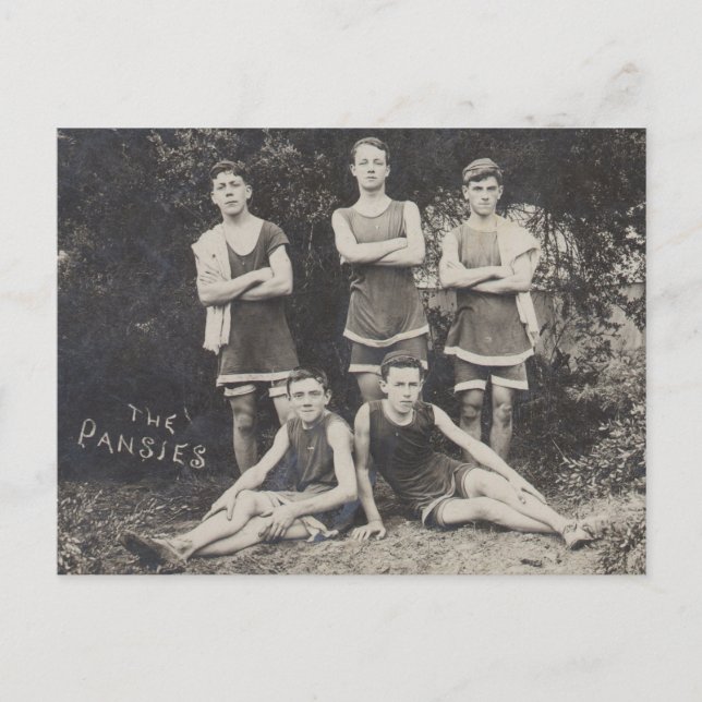 Das Stiefmütterchen-Schwimmteam Postkarte (Vorderseite)
