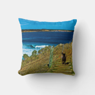 Das stolen Teddy, Lounge Throw Cushion. Kissen