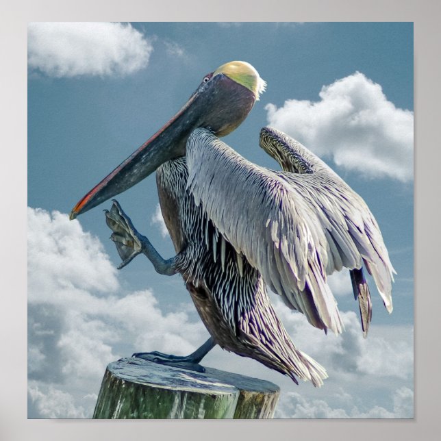 Das tanzende Pelican Poster (Vorne)