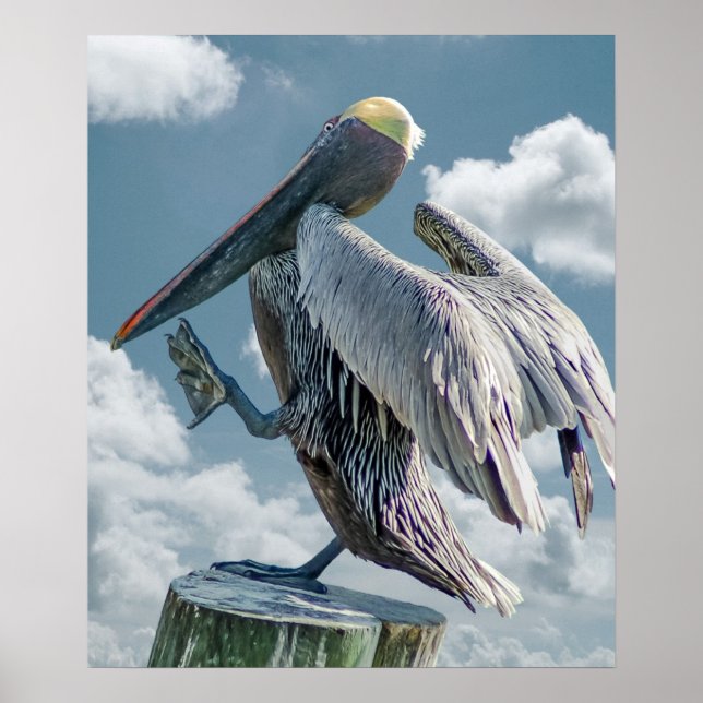 Das tanzende Pelican Poster (Vorne)