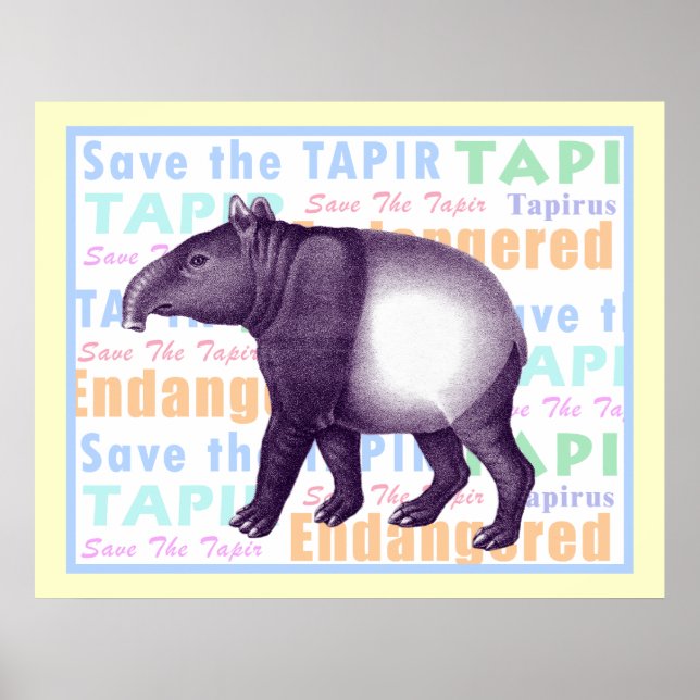 Das Tapir-Poster gerettet - Asian Tapir Poster (Vorne)