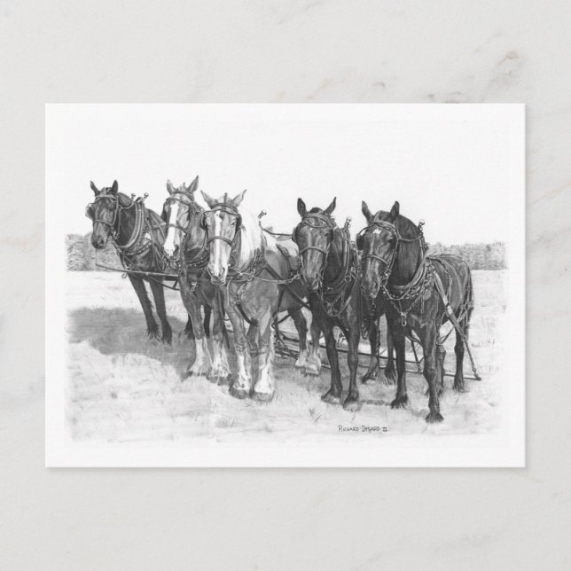 Das Team Postkarte (Vorderseite)