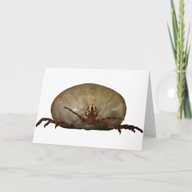 Das Ticken Karte (Vorderseite)