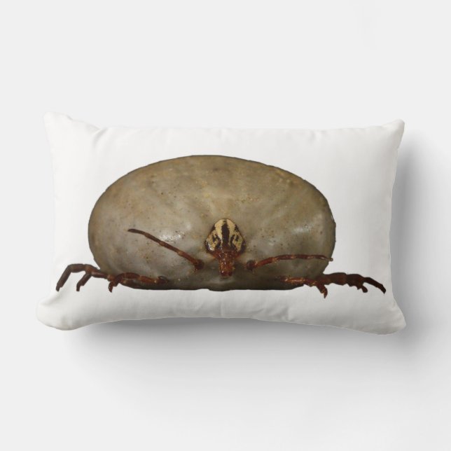 Das Ticken Lendenkissen (Vorderseite)