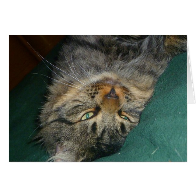 Das Tig (Vorderseite (Horizontal))