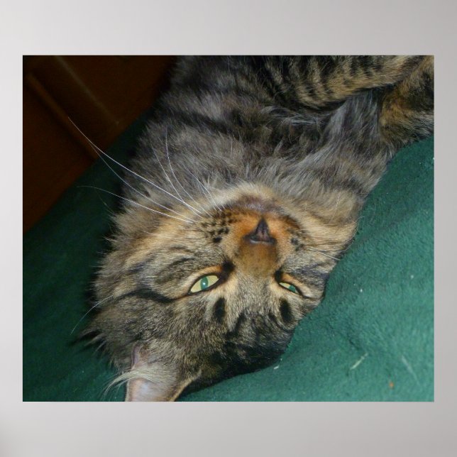 Das Tig Poster (Vorne)