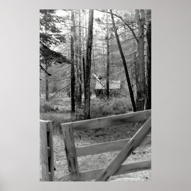 Das Tor Poster (Vorne)