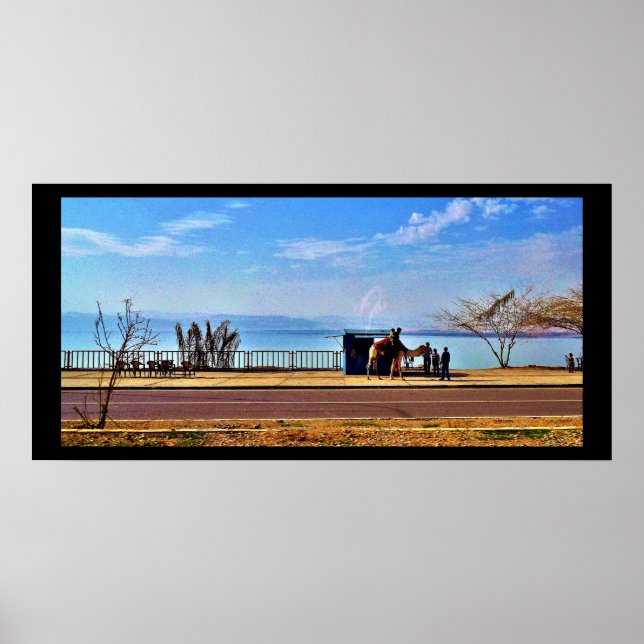 Das tote Meer Poster (Vorne)