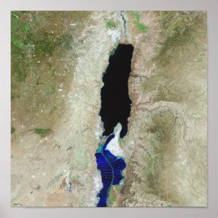 Das tote Meer Poster