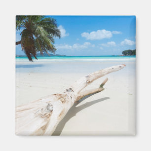 Das tropische Paradies der Seychellen Magnet