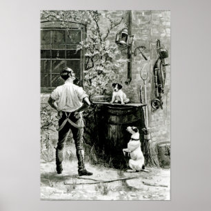 Das Überleben des Fittesten Poster